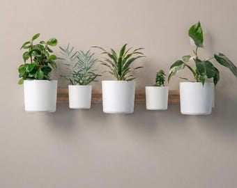Modular Horizontal Wall Planter, 3D Printed Indoor Garden System, Hanging Succulent Shelf