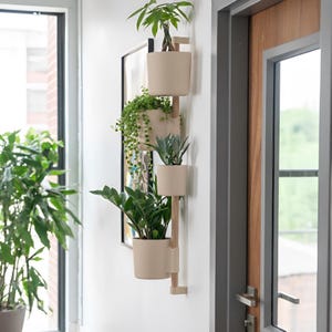 Könnte beinhalten: Ein vertikaler Wandtopf mit vier beigefarbenen Töpfen, die verschiedene grüne Pflanzen enthalten. Die Töpfe sind an einem hellen Holzrahmen befestigt. Der Pflanztopf ist an einer weißen Wand in der Nähe einer Tür und eines Fensters angebracht.