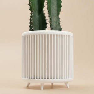 Peut inclure: Un pot de fleurs blanc cylindrique avec des détails verticaux côtelés et trois petits pieds. Le pot contient un grand cactus vert aux bords tranchants. L'arrière-plan est de couleur beige clair.