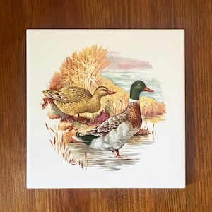 Plato caliente de cerámica con diseño de pato ánade real vintage — Salvamanteles colgante de pared con diseño de animales salvajes de Nueva York