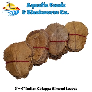 May include: Bundles of 3"-4" Indian Catappa Almond Leaves, tied with red string. The leaves are brown with visible veins, and the text "Aquatic Foods & Blackworm Co." is in blue above the leaves.