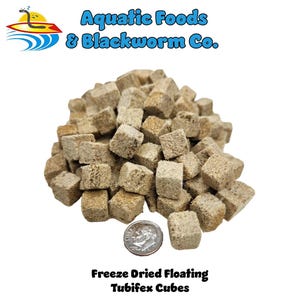 May include: A pile of freeze-dried floating Tubifex cubes, tan in color, with a dime for size comparison. The cubes are labeled as Aquatic Foods & Blackworm Co.
