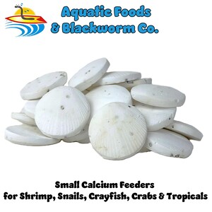 May include: A pile of white, disc-shaped calcium feeders for aquatic animals. The feeders have a textured surface and are labeled "Small Calcium Feeders for Shrimp, Snails, Crayfish, Crabs & Tropicals."