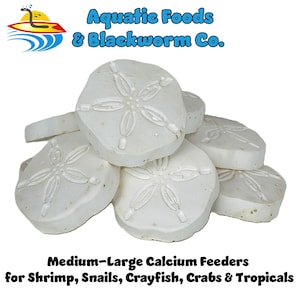 Calcium Enriched Sinking Feeders for Shrimp, Snails, Crabs, Crayfish, Hermit Crabs, Plecos, Catfish. Medium-Large Feeder Disks...Sq Jar