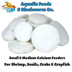 Calcium Feeding Shells, Small & Medium Shells for Shrimp, Snails, Crabs, Plecos, Catfish, All Tropical Fish...Canister