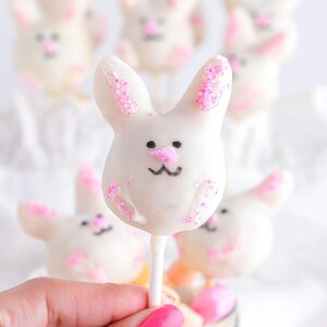 May include: White bunny-shaped cake pops with pink accents and sprinkles. The bunny faces have black eyes and a pink nose and mouth. The treats are on white sticks, perfect for Easter or spring celebrations.