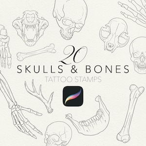 Op de afbeelding: Een illustratie van 20 tattoo stempels met schedels en botten in zwart-wit. De afbeelding bevat verschillende schedeltypen, botten, een handskelet en de tekst "20 SKULLS & BONES TATTOO STAMPS". Een pictogram van een digitale kunst-app is ook aanwezig.