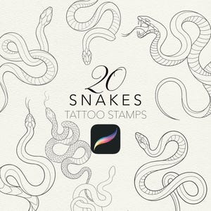 20 ormtatueringsborstar för fortplantning