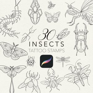 Könnte beinhalten: Eine Sammlung von 30 Insekten-Tattoo-Stempeln im Line-Art-Stil. Die Insekten umfassen einen Tausendfüßler, eine Spinne, eine Biene, einen Schmetterling, eine Gottesanbeterin, eine Stabheuschrecke, eine Zikade, einen Käfer, eine Motte, einen Marienkäfer, eine Libelle und mehr. Der Text "30 INSECTS TATTOO STAMPS" ist ebenfalls enthalten.