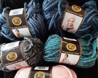 Lion Brand Yarn Hometown Yarn, Bulky Yarn, Yarn for Knitting and  Crocheting, 2-Pack, Tampa Spice