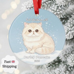 Personalisierte persische Katzenkugel, kundenspezifische Verzierung für Haustier-Denkmal, persische Katzenliebhabergeschenk, Andenken für Katzenelternteil, 2-seitiger Druck