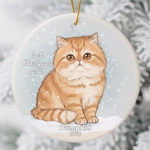 Personalized Persian Cat Ornament, Custom Pet Bauble For Pet Memorial, Persian Cat Lover Gift, Keepsake for Cat Parent