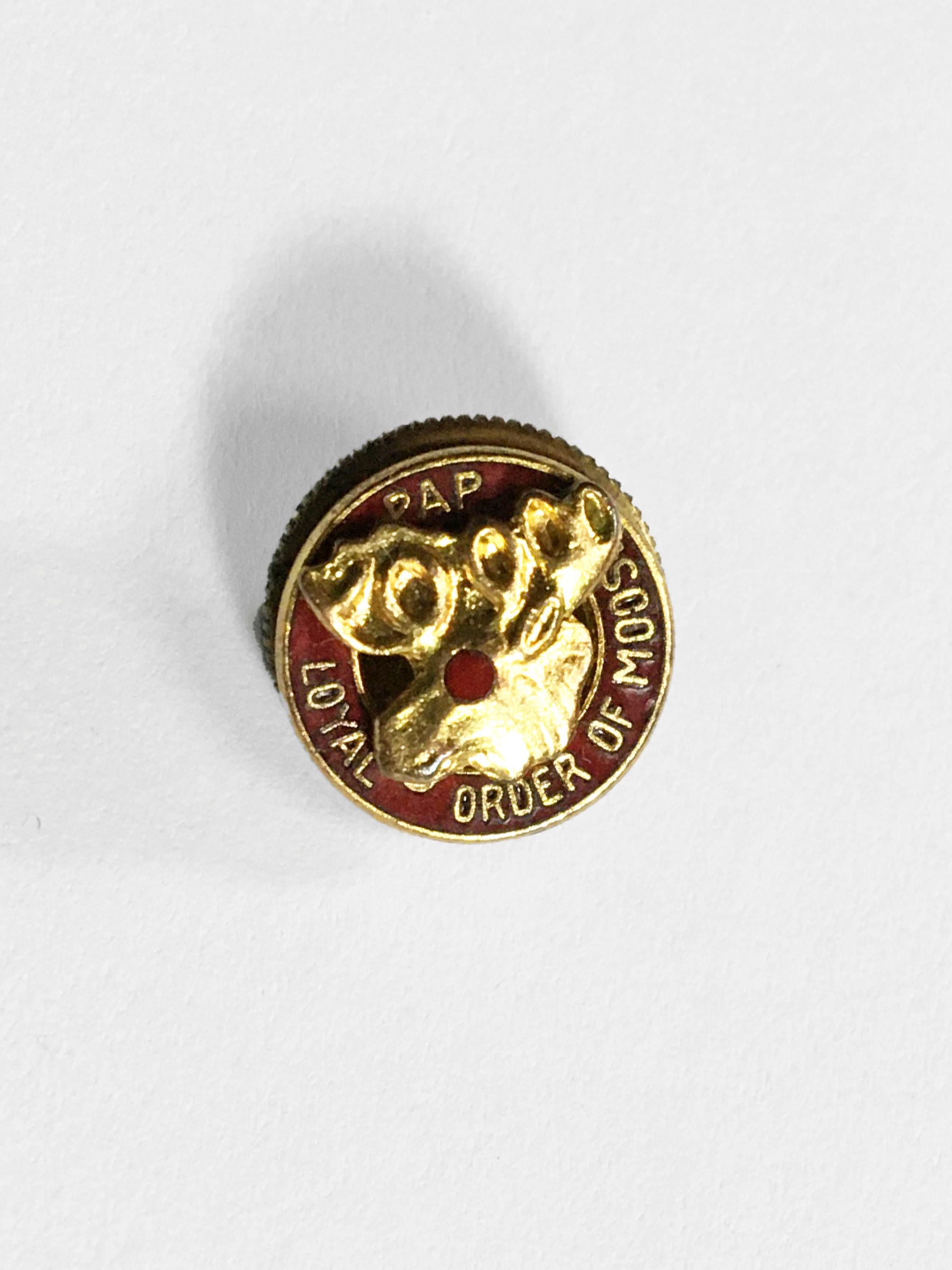 Loyal Order of Moose Pins - Etsy