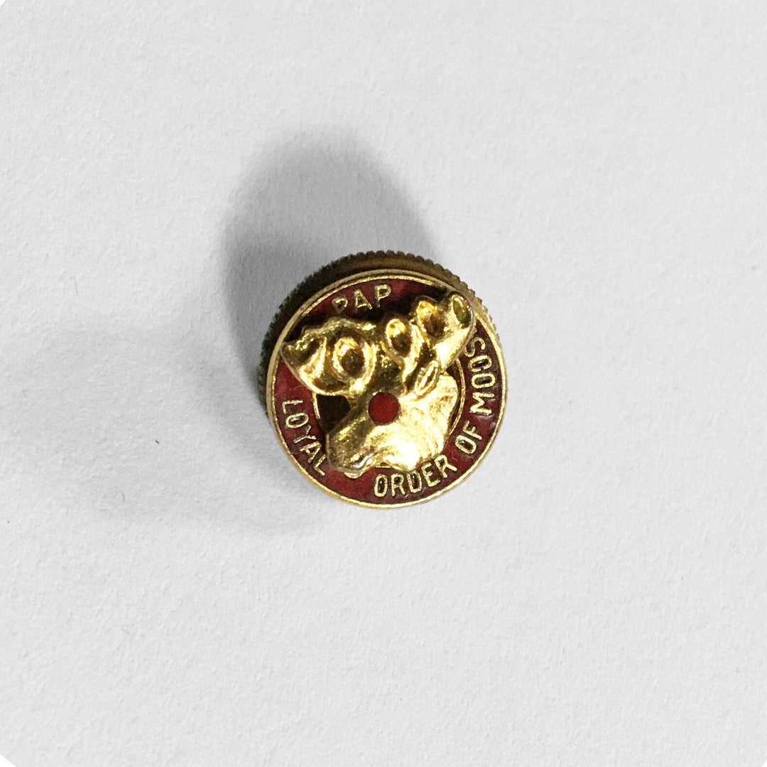 Organization Pin Loyal Order of Moose Pin Screw Back Gold Fraternal Organization - Etsy