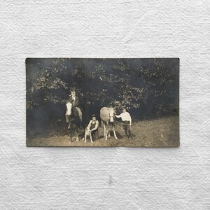 RPPC-postkaart jaren 1900 boerderij jongens met dieren paarden hond
