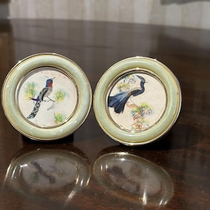 May include: Two small, round framed bird paintings. One features a hummingbird with red, blue, and green details. The other depicts a black bird with a long tail. Both are set in light green frames with gold trim.