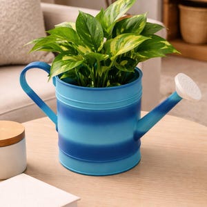 May include: A blue and light blue striped watering can planter filled with a green and yellow leafy plant. The watering can is on a light brown wooden table. A white container with a wooden lid is to the left.