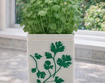 Self-Watering Herb Planter | Kitchen Windowsill Pot| Easy Care Indoor Herb Garden