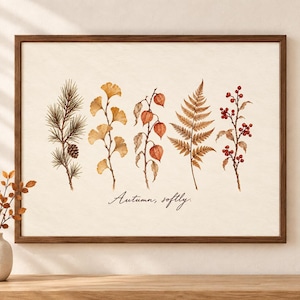 May include: A framed wall art print featuring five botanical illustrations in a row: a pine branch with a cone, ginkgo leaves, orange physalis lanterns, a fern frond, and a red berry sprig. The text "Autumn, softly." is printed in black script.