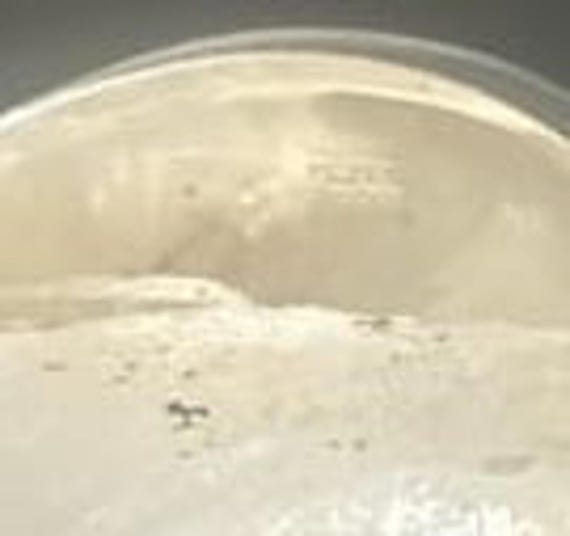 Bracelet Mexican Solid Sterling silver makers mar… - image 2