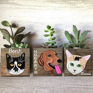 Mini Pet Portrait Planter, Mother's Day, Father's Day Gift, custom Cat Dog box, Personalized Pet Loss Memorial