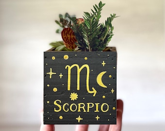 Zodiac Sign Planter, Astrology flower pot, Moon Star Constellation Sign Decor, Wood Decorative Bin, Birth Sign Gift