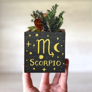 Zodiac Sign Planter, Astrology flower pot, Moon Star Constellation Sign Decor, Wood Decorative Bin, Birth Sign Gift