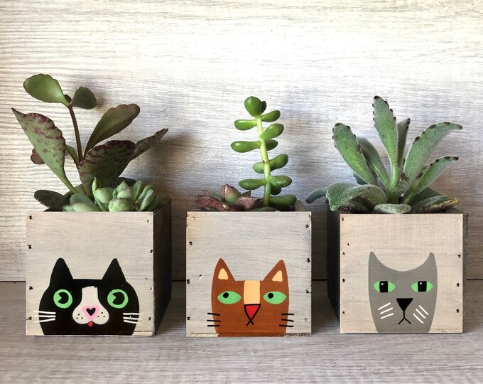 Snowball Cat Planter Box Etsy