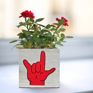 I Love You Planter, Sign Language Gift, ASL Gift for Girlfriend, succulent planter, love sign gift box image 1