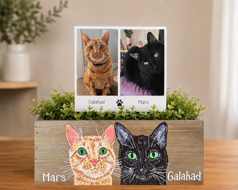 May include: A wooden box with a photo of two cats, one orange and one black, and their names, "Mars" and "Galahad." The box also features painted portraits of the cats. Green foliage surrounds the photo.