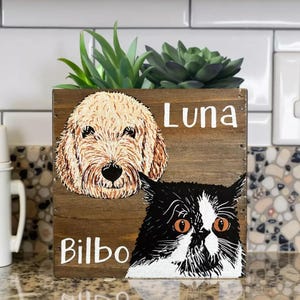 A wooden planter box with a succulent plant and two animal portraits, one of a dog and one of a cat, with the names 'Luna' and 'Billo' written on it.