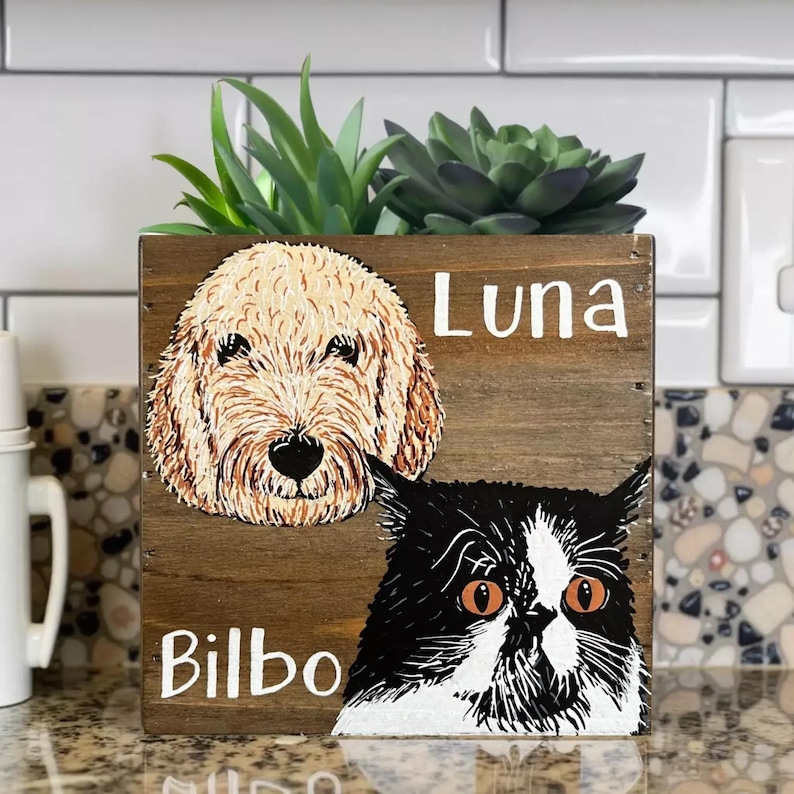 A wooden planter box with a succulent plant and two animal portraits, one of a dog and one of a cat, with the names 'Luna' and 'Billo' written on it.