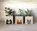 Mini Cat Planters, Set of 3 Small Handmade Wood Boxes, Garden Gift for Cat Lovers, Catnip Planter
