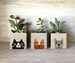 Mini Cat Planters, Set of 3 Small Handmade Wood Boxes, Garden Gift for Cat Lovers, Catnip Planter 