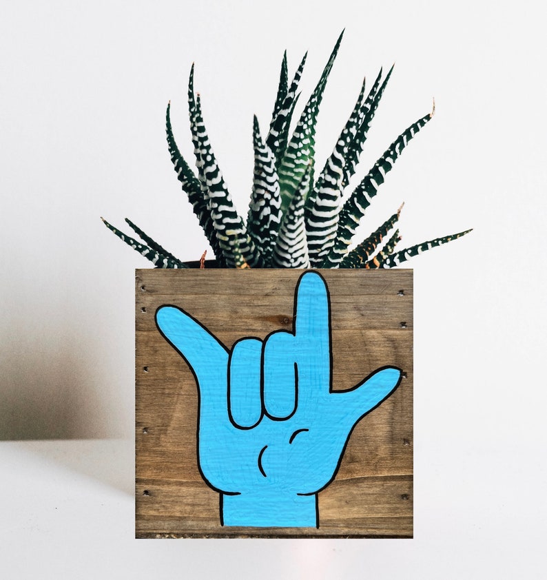 I Love You Planter, Sign Language Gift, ASL Gift for Girlfriend, succulent planter, love sign gift box image 2