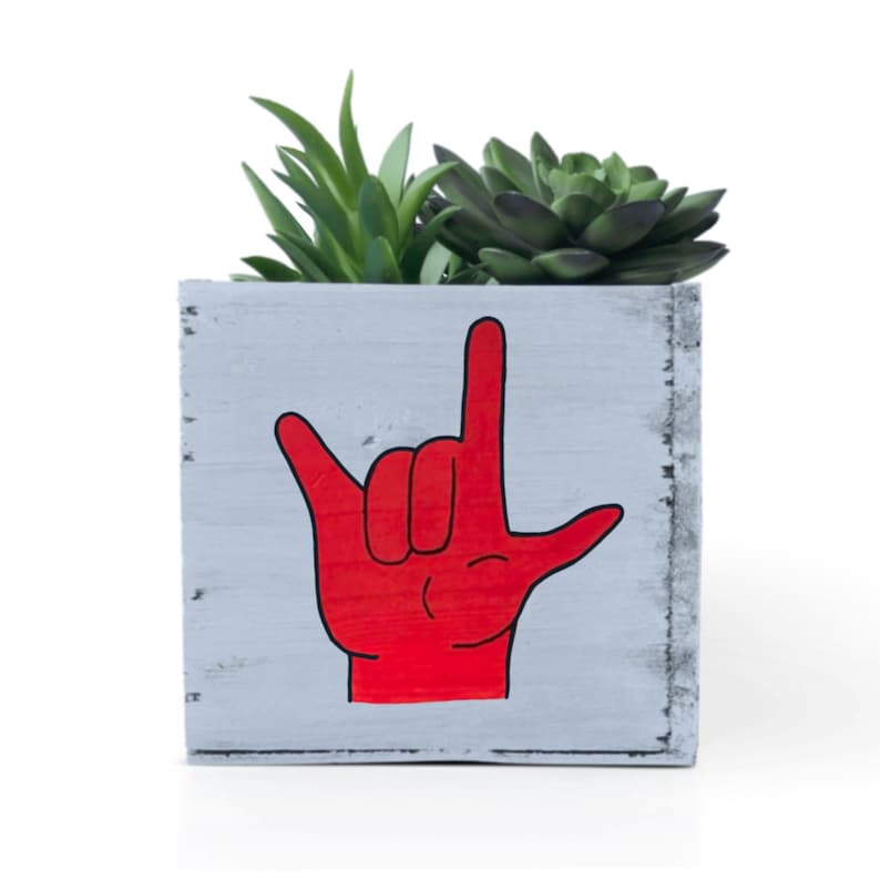 I Love You Planter, Sign Language Gift, ASL Gift for Girlfriend, succulent planter, love sign gift box image 8