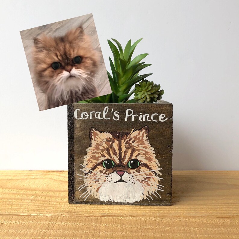 Custom Cat Portrait Planter Cat Dad Gift Personalized Cat Mom Gift Cat Succulent Planter Fur Baby Gift image 5