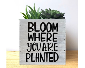 Bloom Where You Are Planted - Succulent Planter - Inspirational Flower Pot Quote - Garden Gift for Her, Mother's Day