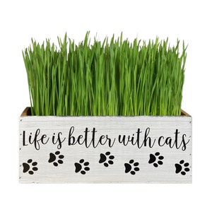 Cat Planter, Life is Better With Cats Wood Planter Box, Gift from Cat, Remote Holder, Cat Mom
