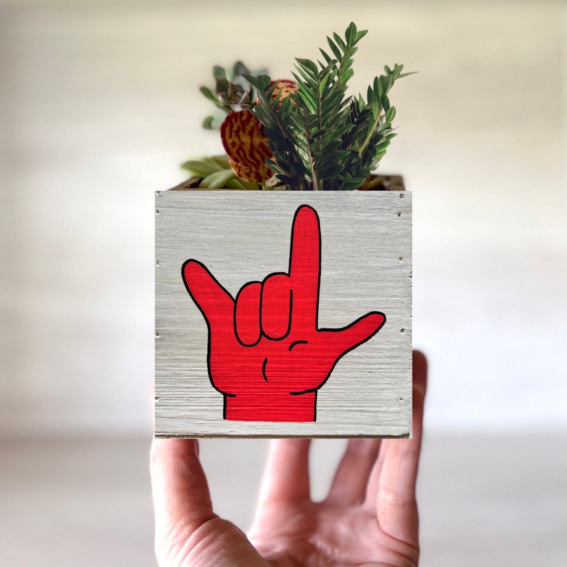 I Love You Planter, Sign Language Gift, ASL Gift for Girlfriend, succulent planter, love sign gift box image 4