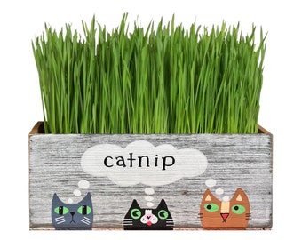 Catnip Planter, Cat nip Decorative Box for Plants, Cat Toys, Treats, Cute Gift for Cat Lovers, Cat Mom, Dad