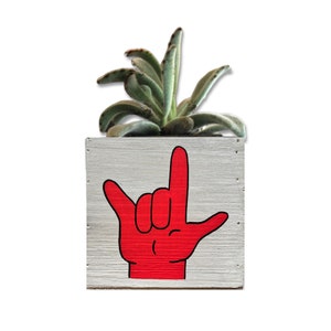 I Love You Planter, Sign Language Gift, ASL Gift for Girlfriend, succulent planter, love sign gift box image 9