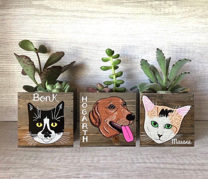 Mini Pet Portrait Planter, Mother's Day, Father's Day Gift, custom Cat Dog box, Personalized Pet Loss Memorial image 1