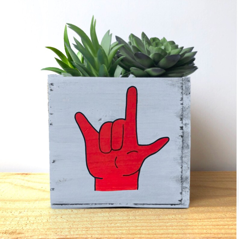 I Love You Planter, Sign Language Gift, ASL Gift for Girlfriend, succulent planter, love sign gift box image 6