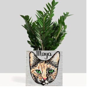 Custom Cat Portrait Planter - Cat Dad Gift - Personalized Cat Mom Father&#39;s Day Gift - Cat Succulent Planter - Fur Baby Gift