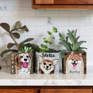 Three wooden planters with painted images of dogs, each with a different name written on them, placed on a white countertop against a tiled wall.