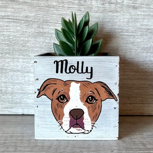 Mini Pet Portrait Planter, Mother's Day, Father's Day Gift, custom Cat Dog box, Personalized Pet Loss Memorial image 9