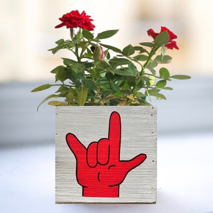 I Love You Planter, Sign Language Gift, ASL Gift for Girlfriend, succulent planter, love sign gift box image 10