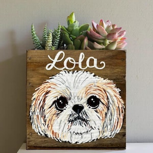 A wooden planter box with a painted image of a dog's face on it, containing a variety of succulent plants.