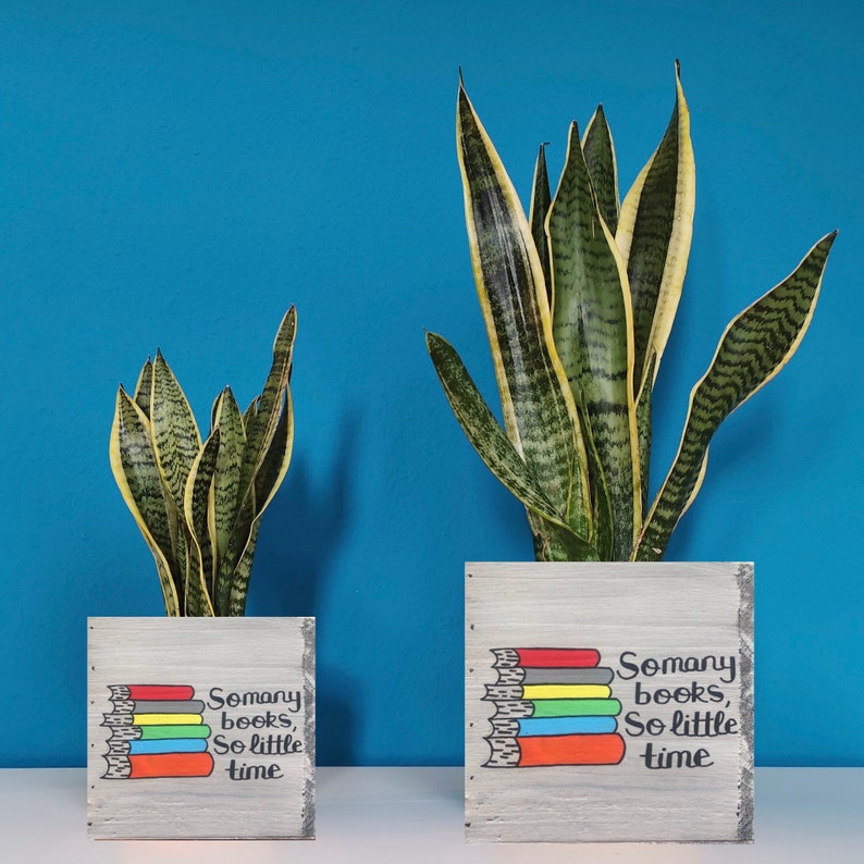 Book Planter So Many Books Reading Lover Gift Gift for image 5